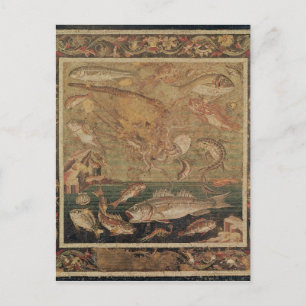 Fish, Molluscs and Crustacea Postcard