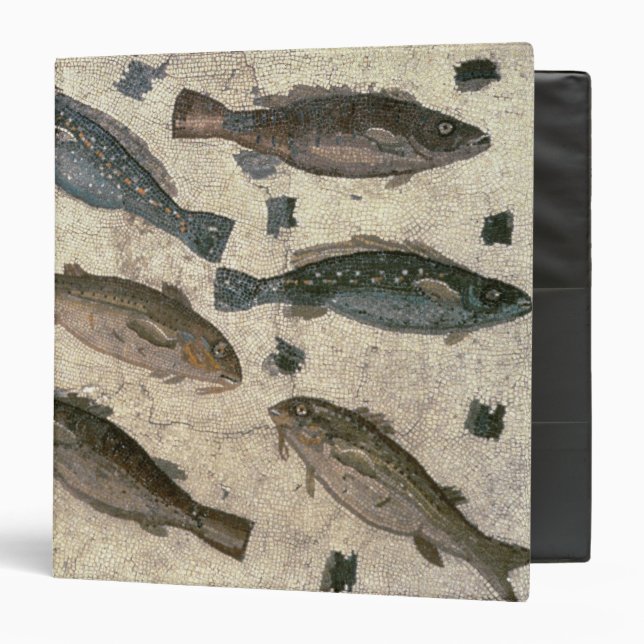 Fish (mosaic) binder (Front/Inside)