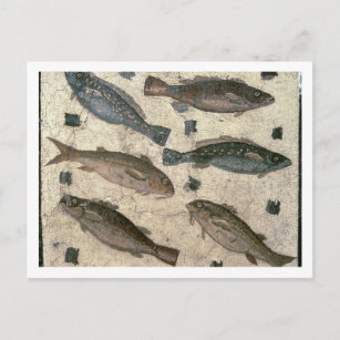 Fish (mosaic) postcard