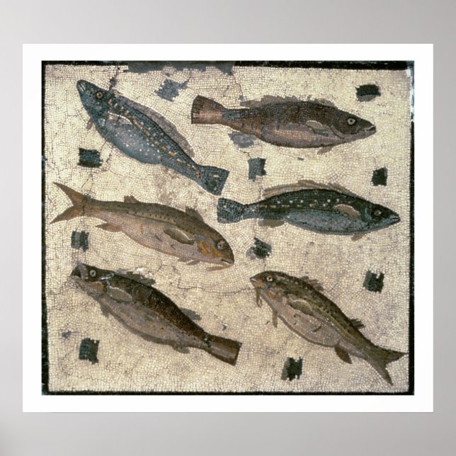 Fish (mosaic) poster (Front)