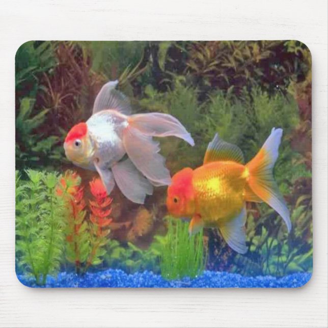 Fish Mousepad (Front)