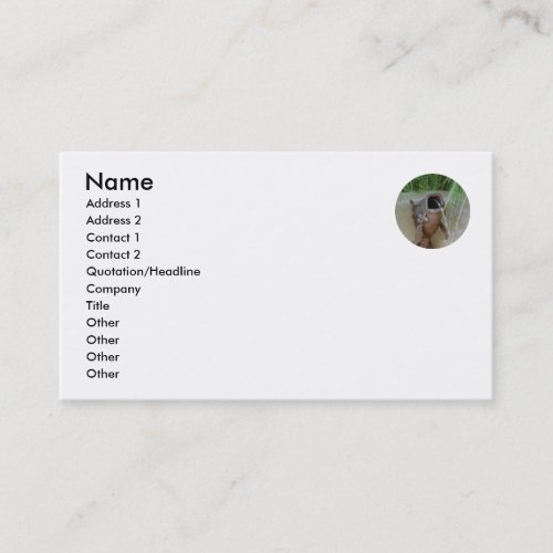 FISH MOUTH - business card template