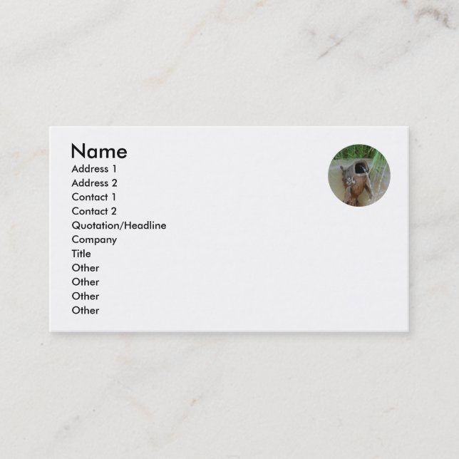 FISH MOUTH - business card template (Front)