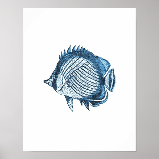 Fish nautical coastal ocean beach sea blue poster (Front)