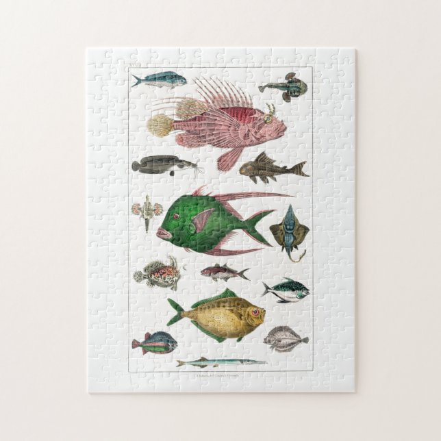 fish, ocean, cute, sea, water, animal, fishing jigsaw puzzle (Vertical)