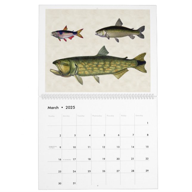 Fish of South America 2024 Calendar