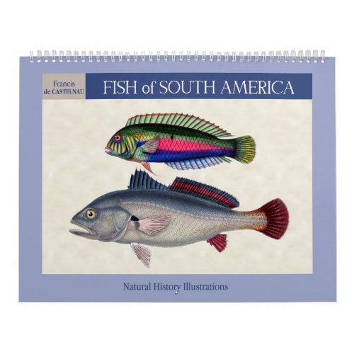 Fish of South America 2024 Calendar