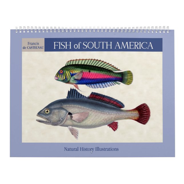 Fish of South America 2026 Calendar (Cover)