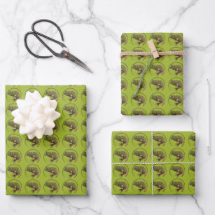 Fishing Rod Wrapping Paper