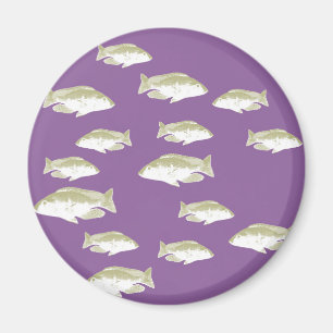 Fish on purple magnet