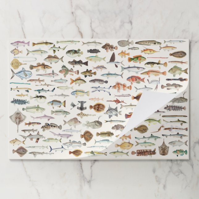 Fish Paper Placemats, Ocean Marine Table Mats (Folded)
