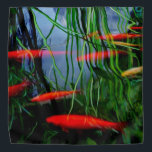 Fish Pond Bandana<br><div class="desc">2026</div>