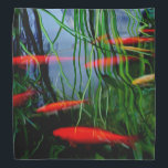 Fish Pond Bandana<br><div class="desc">.</div>
