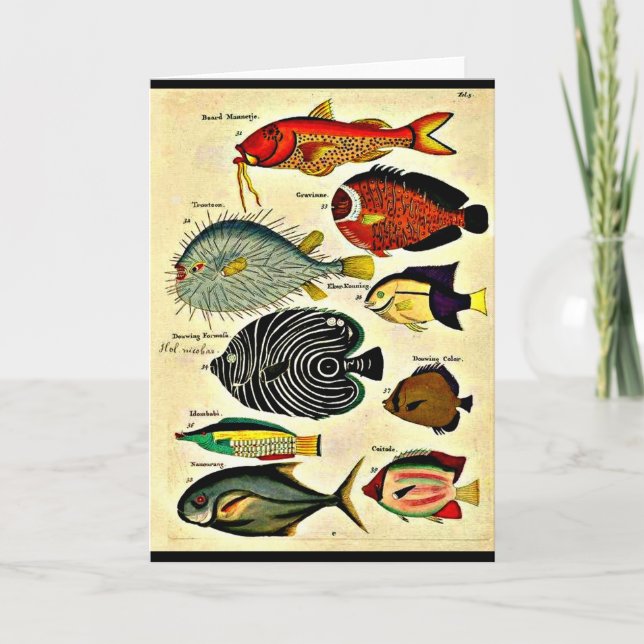 fish print card (Front)