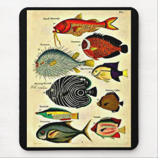 fish print mouse pad