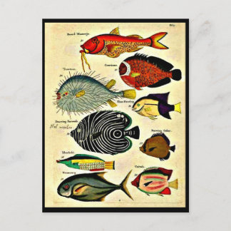 fish print postcard