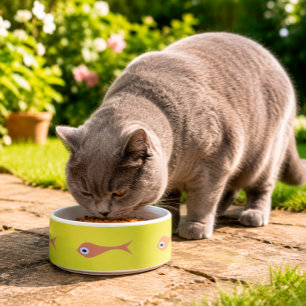 Fish Purple Eyes Cat Bowl Funny Pet Feeding Dish