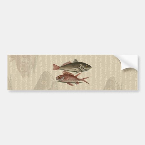 Fish Red Perch Fisherman Art Bumper Sticker