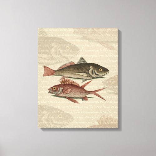 Fish Red Perch Fisherman Art Canvas Print