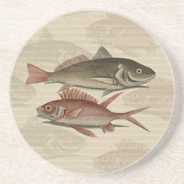 Fish Red Perch Fisherman Art Coaster (Front)