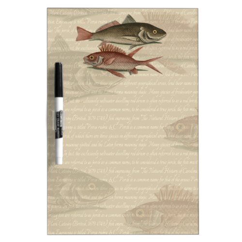 Fish Red Perch Fisherman Art Dry_Erase Board