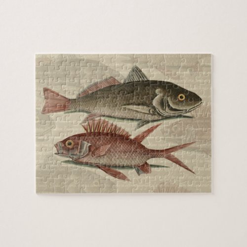Fish Red Perch Fisherman Art Jigsaw Puzzle