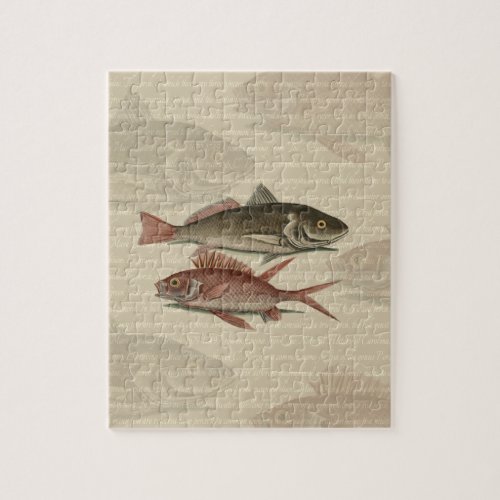 Fish Red Perch Fisherman Art Jigsaw Puzzle