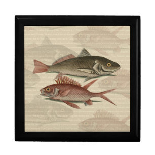 Fish Red Perch Fisherman Art Keepsake Box