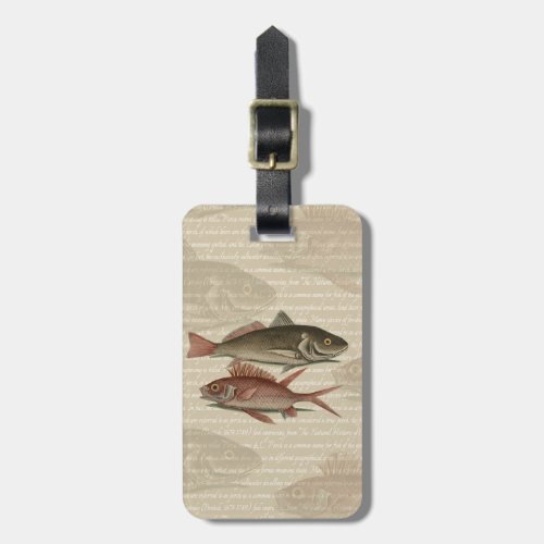 Fish Red Perch Fisherman Art Luggage Tag