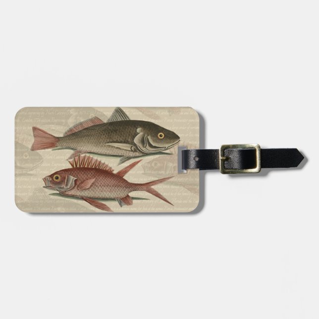 Fish Red Perch Fisherman Art Luggage Tag (Front Horizontal)