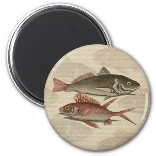 Fish Red Perch Fisherman Art Magnet