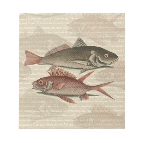 Fish Red Perch Fisherman Art Notepad