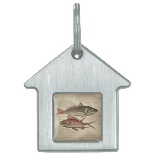 Fish Red Perch Fisherman Art Pet ID Tag