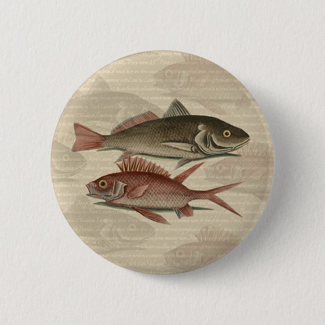 Fish Red Perch Fisherman Art Pinback Button (Front)