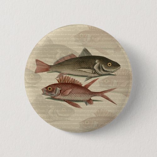 Fish Red Perch Fisherman Art Pinback Button