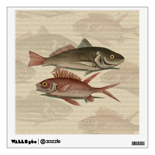 Fish Red Perch Fisherman Art Wall Decal