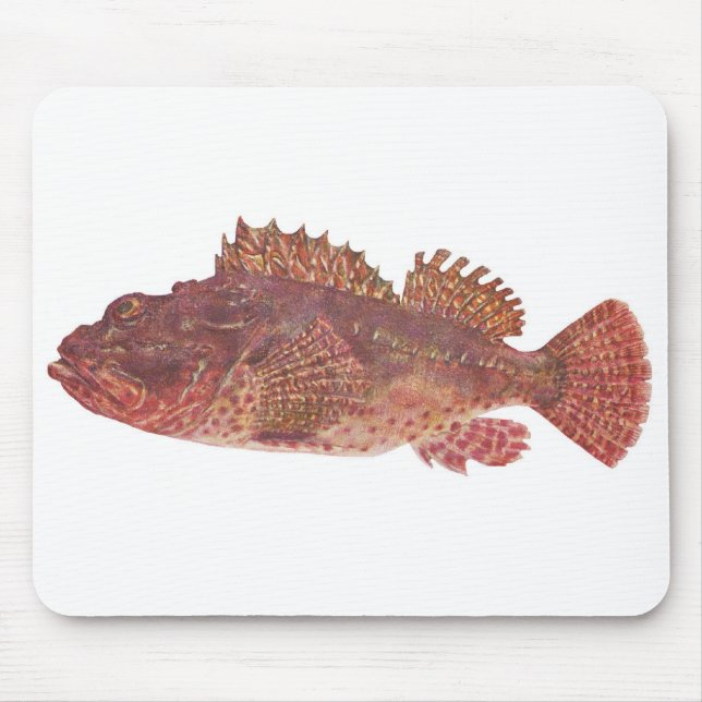 Fish - Red Rock Cod - Scorpaena cardinalis Mouse Pad (Front)