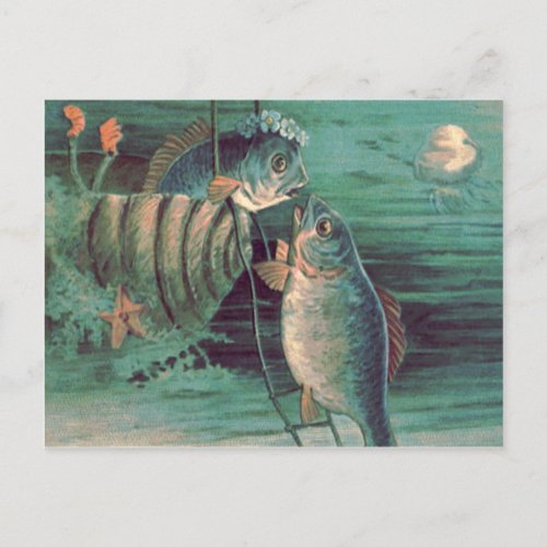 Fish Romeo  Juliet Jellyfish Starfish Postcard