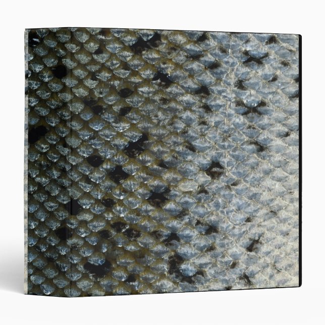 Fish Scales 2 Binder (Front/Spine)