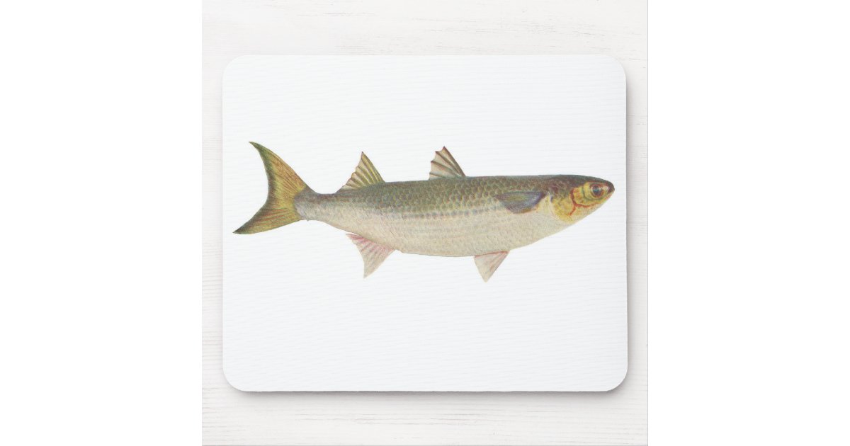 Bass Fishing Quotes for Anglers Fisherman Sports Mouse Pad, Zazzle