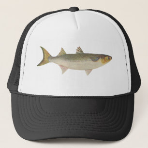 Fish - Sea Mullet - Mugil dobula Trucker Hat