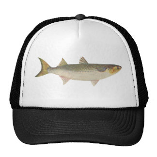 Fishing Hats