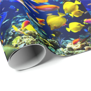 fish sea wrapping paper