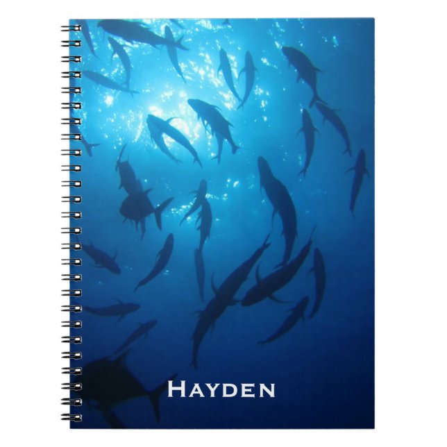 Fish Shoal and Sunlight Under the Sea Personalised Notebook (Front)