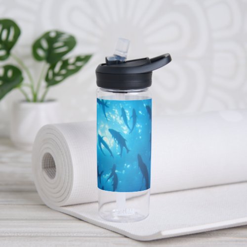 Fish Shoal and Sunlight Under the Sea Water Bottle