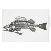 Fish Skeleton (Front Horizontal)