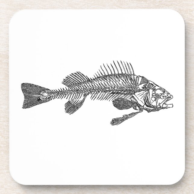 Fish skeleton beverage coaster (Front)