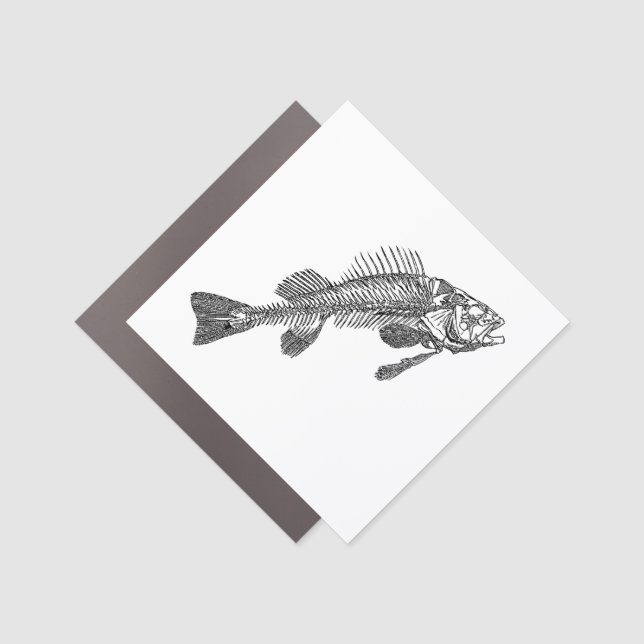 Fish skeleton car magnet (Front)
