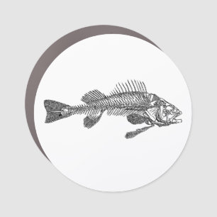 Fish skeleton car magnet