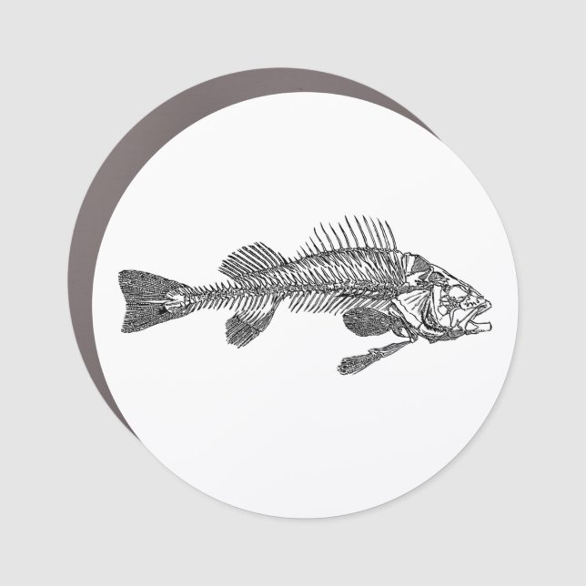 Fish skeleton car magnet (Front)